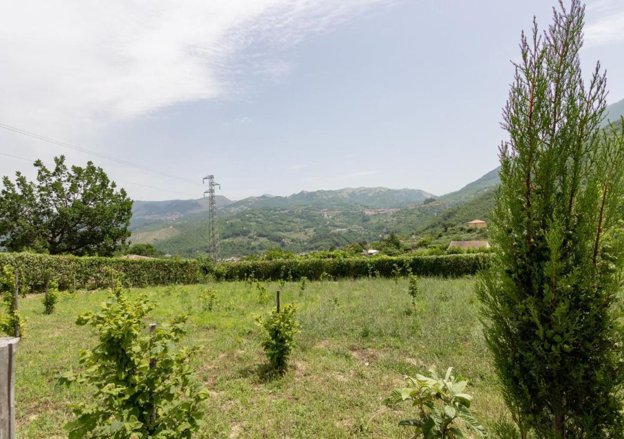 Agriturismo La Vammora Laviano ภายนอก รูปภาพ