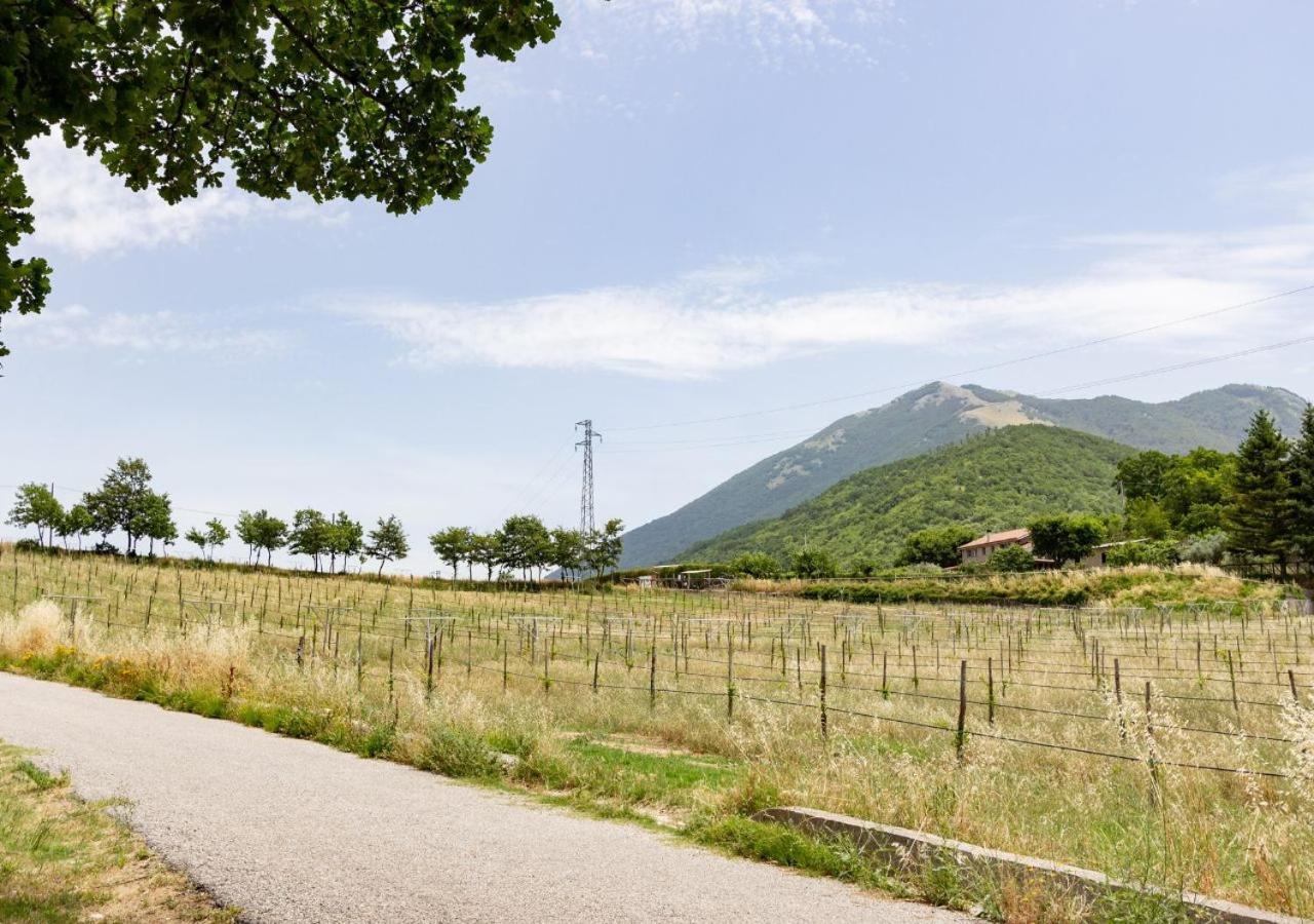 Agriturismo La Vammora Laviano ภายนอก รูปภาพ