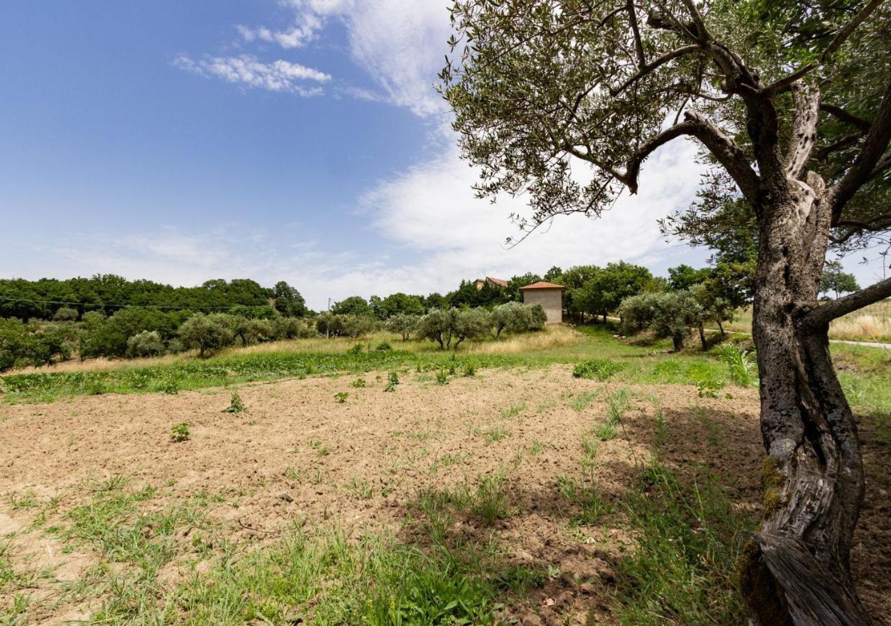 Agriturismo La Vammora Laviano ภายนอก รูปภาพ