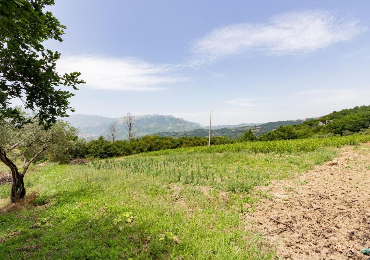Agriturismo La Vammora Laviano ภายนอก รูปภาพ