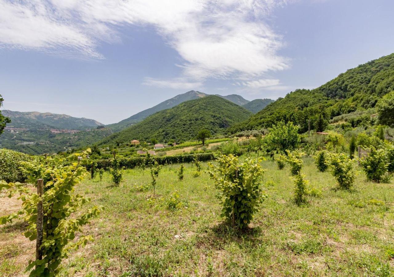 Agriturismo La Vammora Laviano ภายนอก รูปภาพ