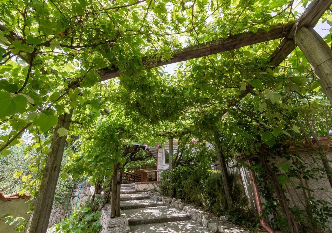 Agriturismo La Vammora Laviano ภายนอก รูปภาพ
